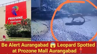 Be Alert Aurangabad 😱 Leopard Spotted at Prozone Mall Aurangabad 📍 [upl. by Ylac]