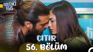 Erkenci Kuş 56 Çıtır Bölüm Öpücük Bir Nefes Uzakta [upl. by Ideih]