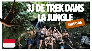 🦧 3 jours de TREK dans la jungle de SUMATRA  A la recherche des ORANGSOUTANS 🌿 [upl. by Oirasec890]