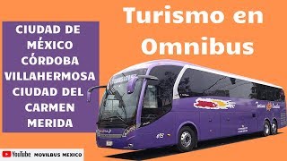 Las mejores líneas de bajo costo en México Turismo en Omnibus [upl. by Saba]