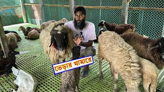 ছাগল ভেড়ার সমন্বিত খামার  Sheep farming  Goat farm  Shokher Khamar [upl. by Ijok428]