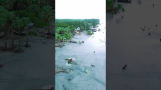 আকাশ থেকে সমুদ্র Drone View sorts viral foryou youtubeshorts dronevideo [upl. by Fuchs]