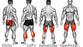 BEST Glutes Quadriceps Hamstrings Calves Exercises🔥🔥🔥 [upl. by Ydnirb]