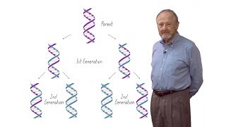 Matthew Meselson Harvard The SemiConservative Replication of DNA [upl. by Liagabba]