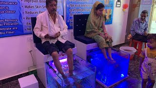 Smiley Fish Spahas installed this Fish Pedicure setup in Rishikesh City in Uttarakhand 📞 8447174348 [upl. by Griff713]