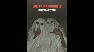 Dj Malai Music luliya ka mangele dj remix  pawan singh new bhojpuri song 2023  malaai music [upl. by Enoed724]