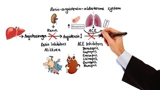 Pharmacology  HYPERTENSION amp ANTIHYPERTENSIVES MADE EASY [upl. by Asselam]