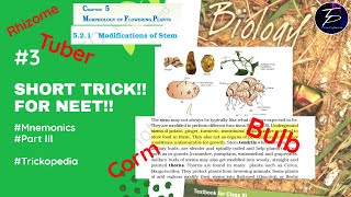 ✓Short Trick🥳Morphology Of Flowering PlantsPartIIIOrgans Of PerennationMnemonicsNEETClass11🥳🙏 [upl. by Atiekan]