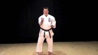 Wansu Kata of IsshinRyu Karate Michael Calandra [upl. by Else]