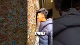 America chewing gum wall were people go and chewing already chewed gum 🙄 😳 viralvideo america [upl. by Matta67]