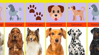 Dogs Breed images with Names  All Dogs photos with Name  100 Types of Dogs [upl. by Keir]