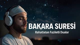 Bakara Suresi İman ve Hikmetin Işığında [upl. by Eurydice]