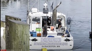 Wicked Tunas Hard Merchandise Offloading a Tuna August 1 2024 [upl. by Doran]