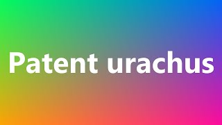 Patent urachus  Medical Meaning [upl. by Rol]