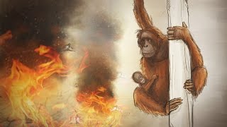 Warum OrangUtans für Palmöl sterben – eine kurze Geschichte [upl. by Akeme]