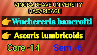 Wuchereria bancroftiAscaris lumbricoidsBSc 3rd yearwith proper notes [upl. by Stavro]