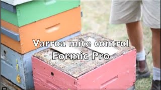 Varroa Mite Control  Formic Pro [upl. by Garnett511]