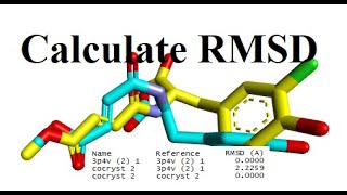 RMSD Root Mean Square Deviation Calculation by Discovery Studio Visualizer MajidAli2020 [upl. by Haraj807]