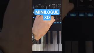 SINTETIZADOR KORG MINILOGUE XD [upl. by Hunley]