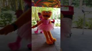 Sesame Street Safari of fun Because were Friends [upl. by Easter]