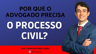 Por que você precisa dominar o processo [upl. by Okihcas]