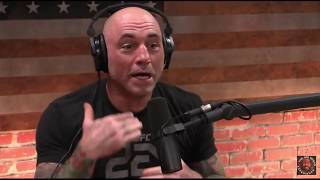 Joe Rogan  Male Feminists Are Weasels [upl. by Nivlen]