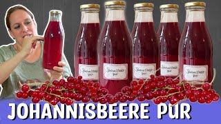 Eine schnelle Methode viele Johannisbeeren zu verarbeiten [upl. by Luckin]