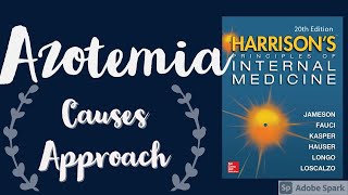 AZOTEMIA  Causes  Approach  Harrison [upl. by Jamaal]