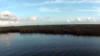 Redfishing in the Biloxi Marsh Hopedale Louisiana 9 Sept 2010wmv [upl. by Noizneb]