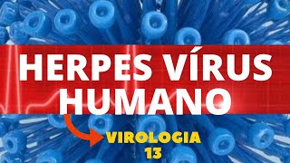 HERPES VÍRUS HUMANO  VIROLOGIA  AULA 13 [upl. by Aztiray252]