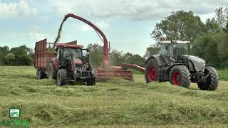 Worlds Biggest Trailed Forager JF Stoll FCT 1460 Forager 🚜💪 [upl. by Butterfield297]