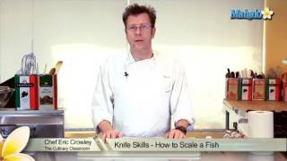 Knife Skills  How to Scale a Fish [upl. by Rovner]