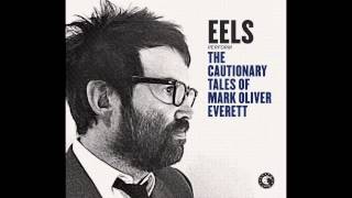 EELS  A Swallow In The Sun audio stream [upl. by Anyel]