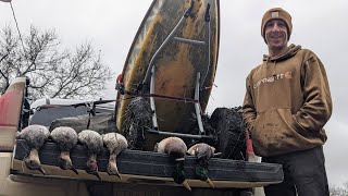 10272023 4 Gadwall 2 Mallards [upl. by Lambard]