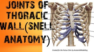 joints of thoracic wallsnell anatomy [upl. by Carolynne]