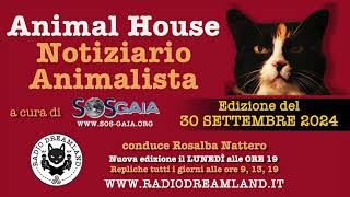 Animal House notiziario animalista del 30 settembre 2024 [upl. by Onateyac]