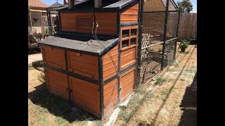 Producer’s Pride Defender Chicken Coop and why I love it [upl. by Eninnaej330]