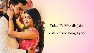 Dilon Ke Mohalle Jake Male Version Song Lyrics [upl. by Jillene]