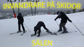 INVANDRARE PÅ SKIDOR  VLOGG 7 [upl. by Othilie]