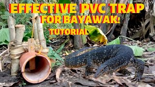 HOW TO MAKE EFFECTIVE PVC TRAP TUTORIAL BAYAWAK HUNTING PART 8  JUAN LAGALAG [upl. by Annairam]