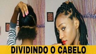 COMO DIVIDIR O CABELO PARA TRANÇAS BOX BRAIDS [upl. by Haland]