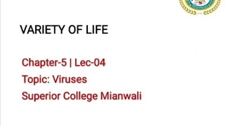 Viruses  History of Viruses  Discovery of Viruses [upl. by Yllop]