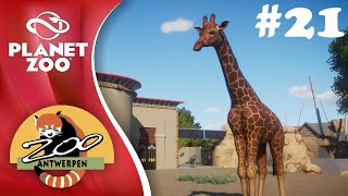 Planet Zoo  Antwerp Zoo 21 African Savannah [upl. by Heinrick880]