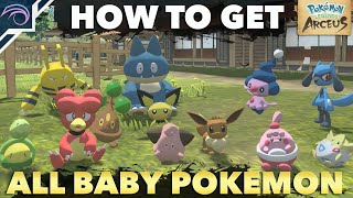 HOW TO GET ALL BABY POKEMON in Pokemon Legends Arceus [upl. by Kwon]