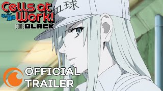 Cells at Work CODE BLACK  OFFICIAL TRAILER [upl. by Ostler498]