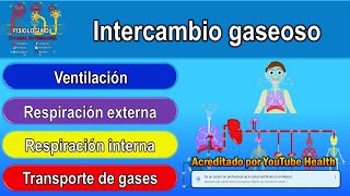 Intercambio gaseoso  Intercambio gaseoso pulmonar fisiología  Intercambio gaseoso fisiología [upl. by Nerrot]