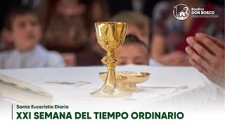 Santa Eucaristía  Lunes de XXI semana del Tiempo Ordinario  Memoria del Beato Ceferino Namuncurá [upl. by Arreip705]