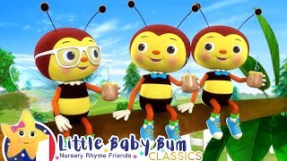 Chanson des Abeilles  Chansons des Animaux  Little Baby Bum en Français [upl. by Rimaa]