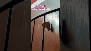 Ya Nabi Salam Alayka Ya Rasool Salam Alayka 🤲🏻 ytshorts shrotsviralshort [upl. by Atiuqahc]