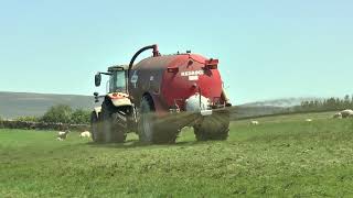 Slurry Tanking Big MF Tractor amp Red Rock Tanker 19 05 24 [upl. by Nomaid594]